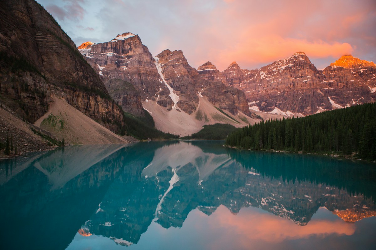 Lush UAE garden landscape
