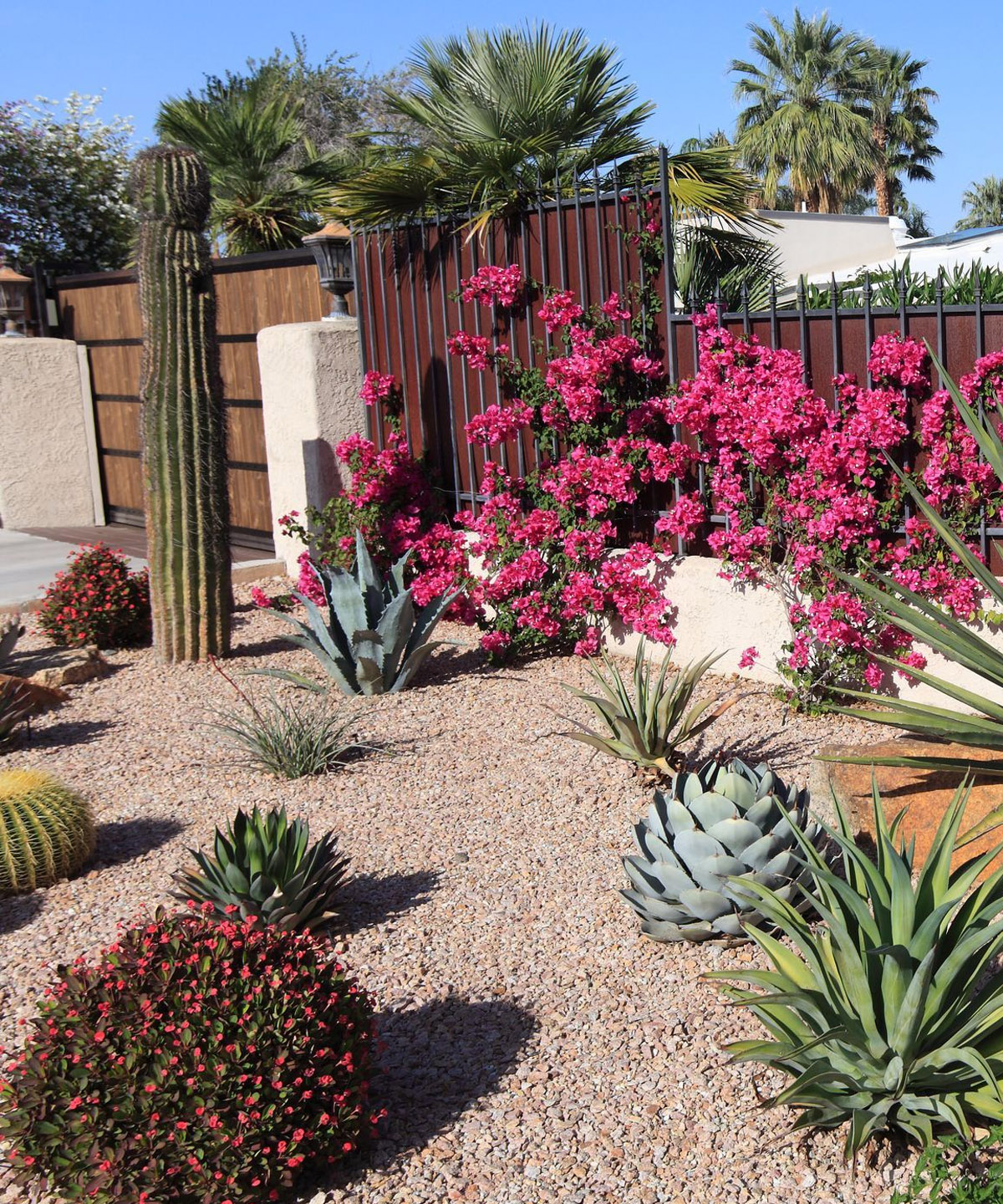 Al Ain Desert Xeriscape Retreat