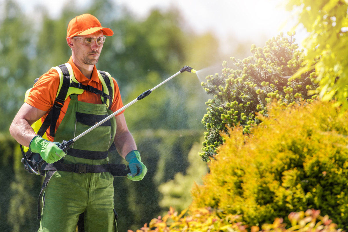Garden Pest Control Dubai